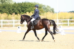 SBM_009684