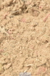 230611A-141858-06272