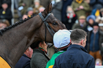 240126-Race 5-Spillanes Tower-7354