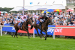 190826-Race 3-Maltese Cross-1069