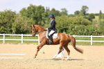 SBM_002773
