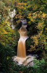 Ness Woods waterfall (S095)