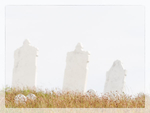 HISTORIC CEMETERY - BONAVISTA PENINSULA