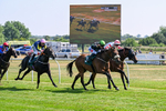 150726-Race 4-The Good Biscuit-3378