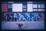 graffiti & dingo hulme 1996