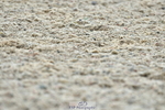 230708A-142126-03441