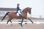 Cls 6 Premier League FEI Prix St Georges portfolio