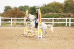 SBM_007146