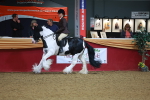 SBM_09755
