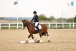 SBM_006480
