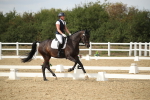 SBM_003413