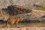 River crossing