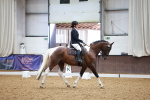 SBM_000729