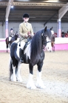 SBM_09114