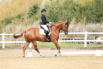 SBM_018352