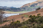 Buttermere-463