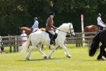 SBM_07035