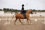 SBM_05536