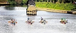 DRAGON BOAT RACE 10 July 2016 - 193 of 549