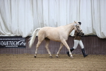 SBM_5455