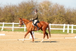 SBM_003443
