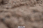 240623A-114112-17276