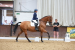 SBM_005351