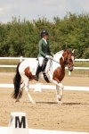 SBM_001984