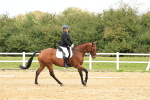 SBM_003593