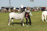 SBM_00654
