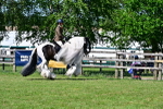 SBM_19360