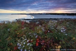 Coastal Colors