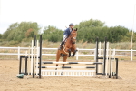 SBM_023018