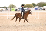SBM_16051