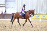 SBM_009027