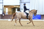 SBM_001668