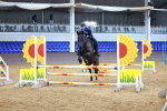 SBM_001439