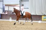 SBM_000136