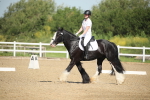SBM_007879