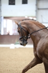 SBM_004371