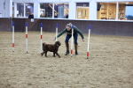 SBM_005615