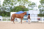 SBM_15357