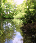 River Frome _B0219