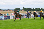 160724-Race 3-Roger Henry-8676