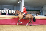 SBM_19227