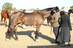 SBM_00020