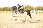 SBM_003586