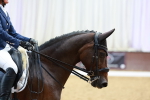 SBM_003454