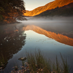 Misty Upper Lake