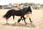 SBM_04642